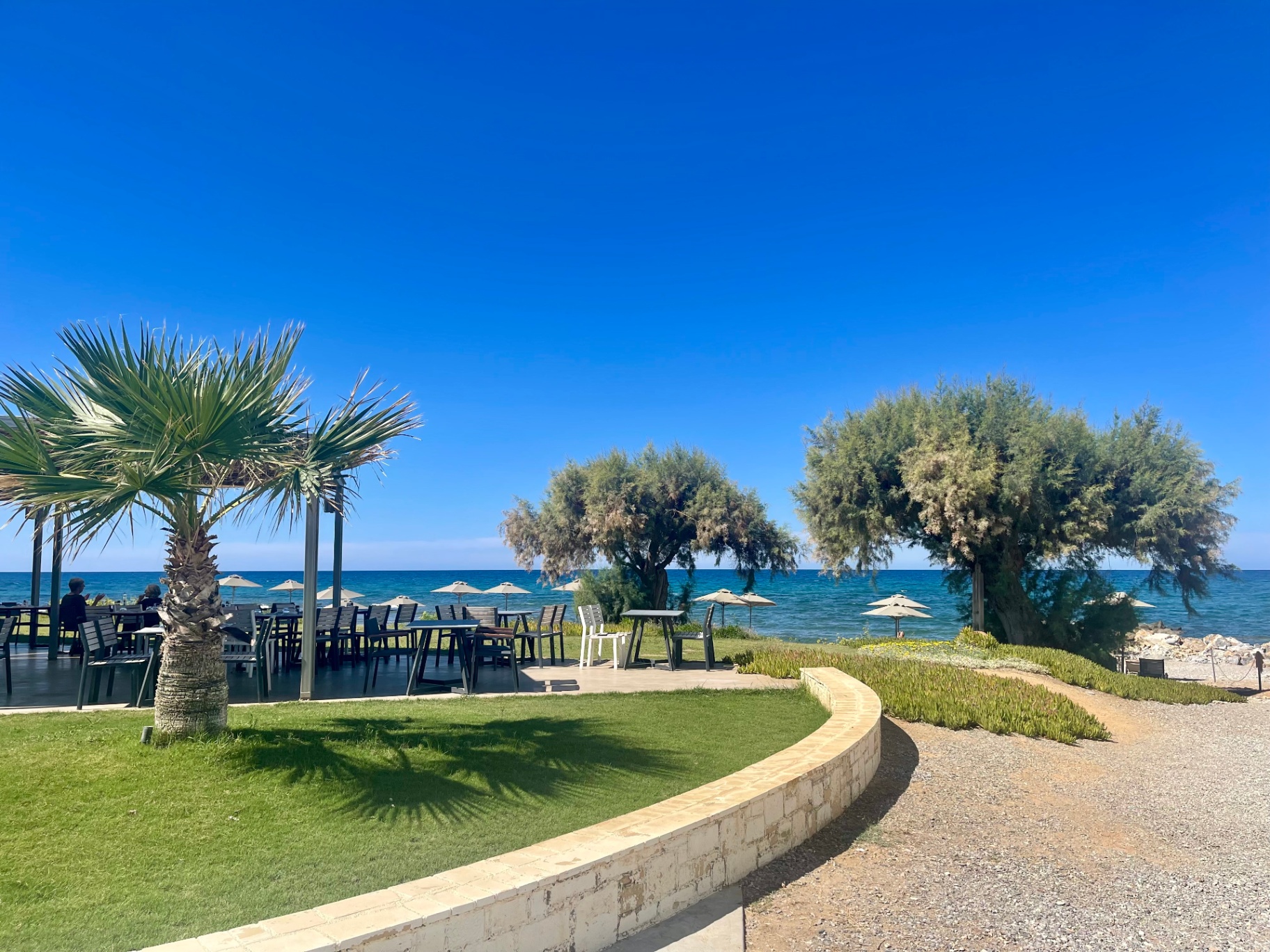 Local taverna framed by palms