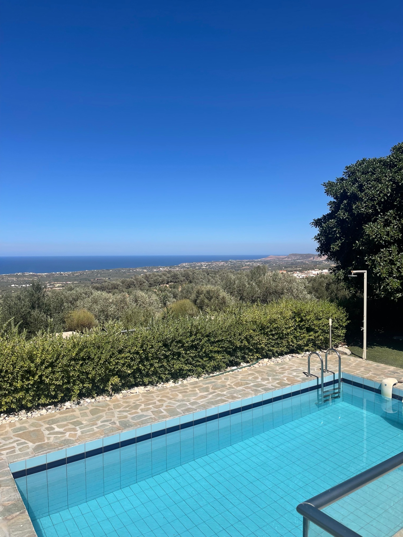 Villa Olympia pool panorama with olive grove and sea horizon