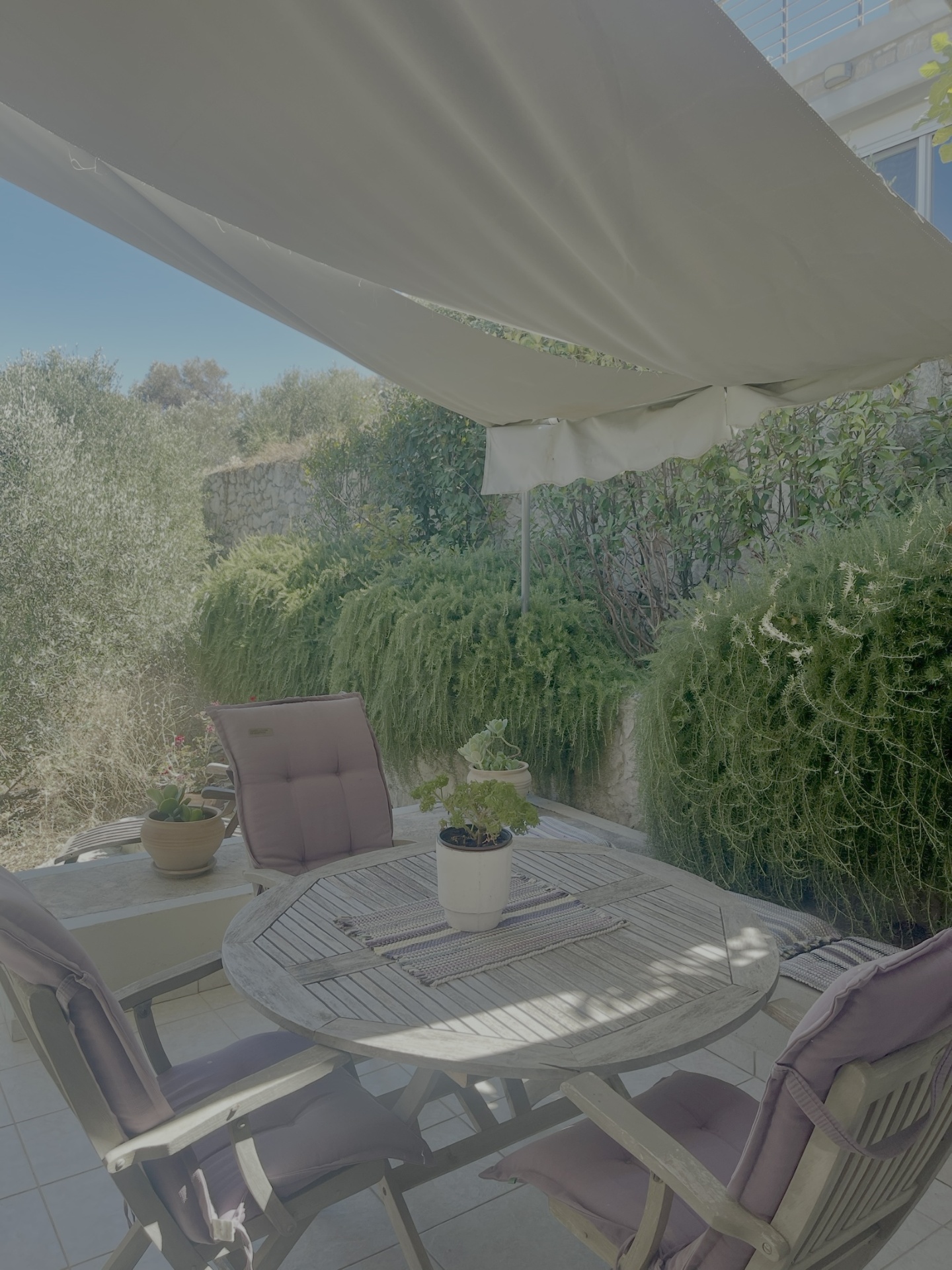 Terrace canopy with dappled shade