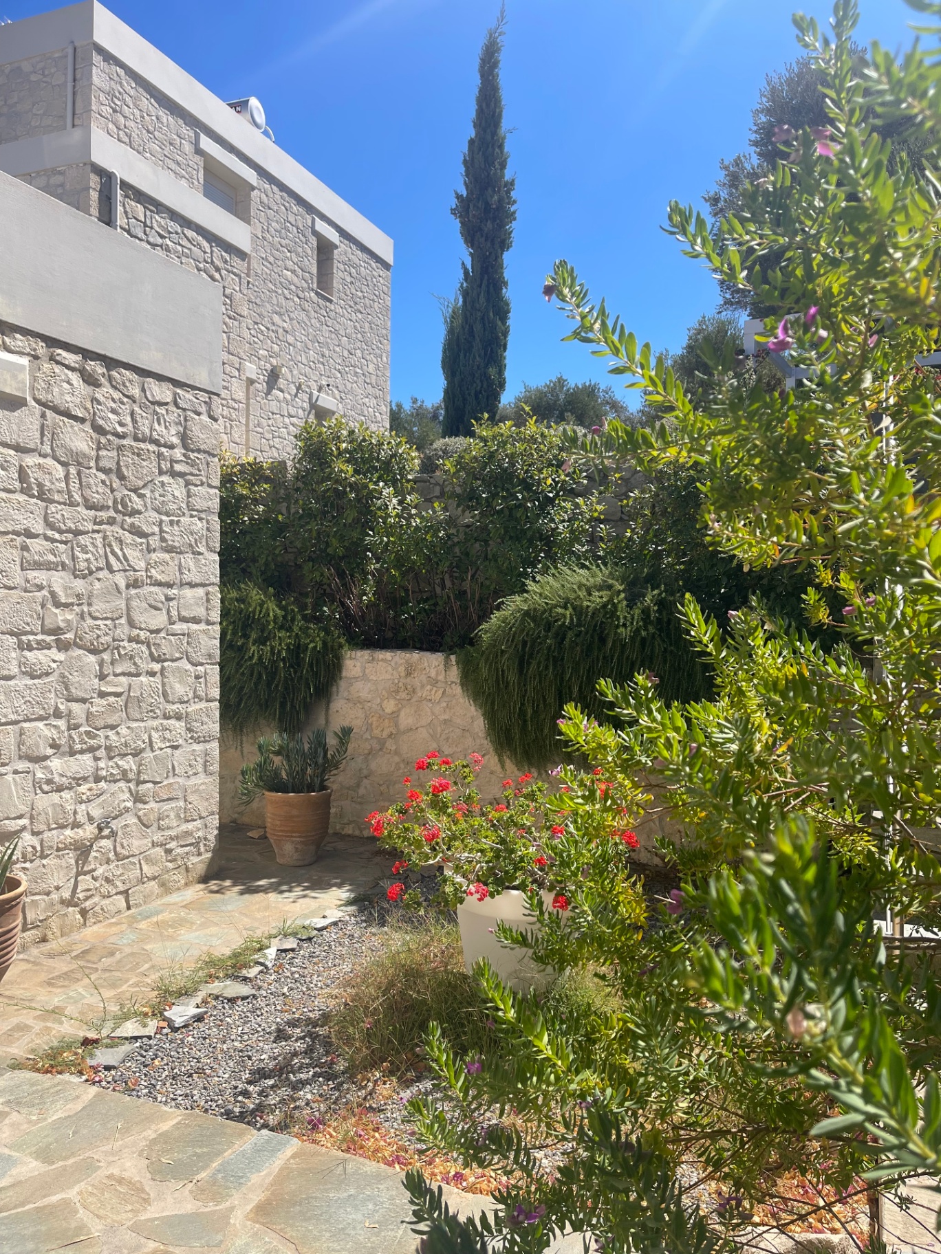 Stone courtyard with geraniums