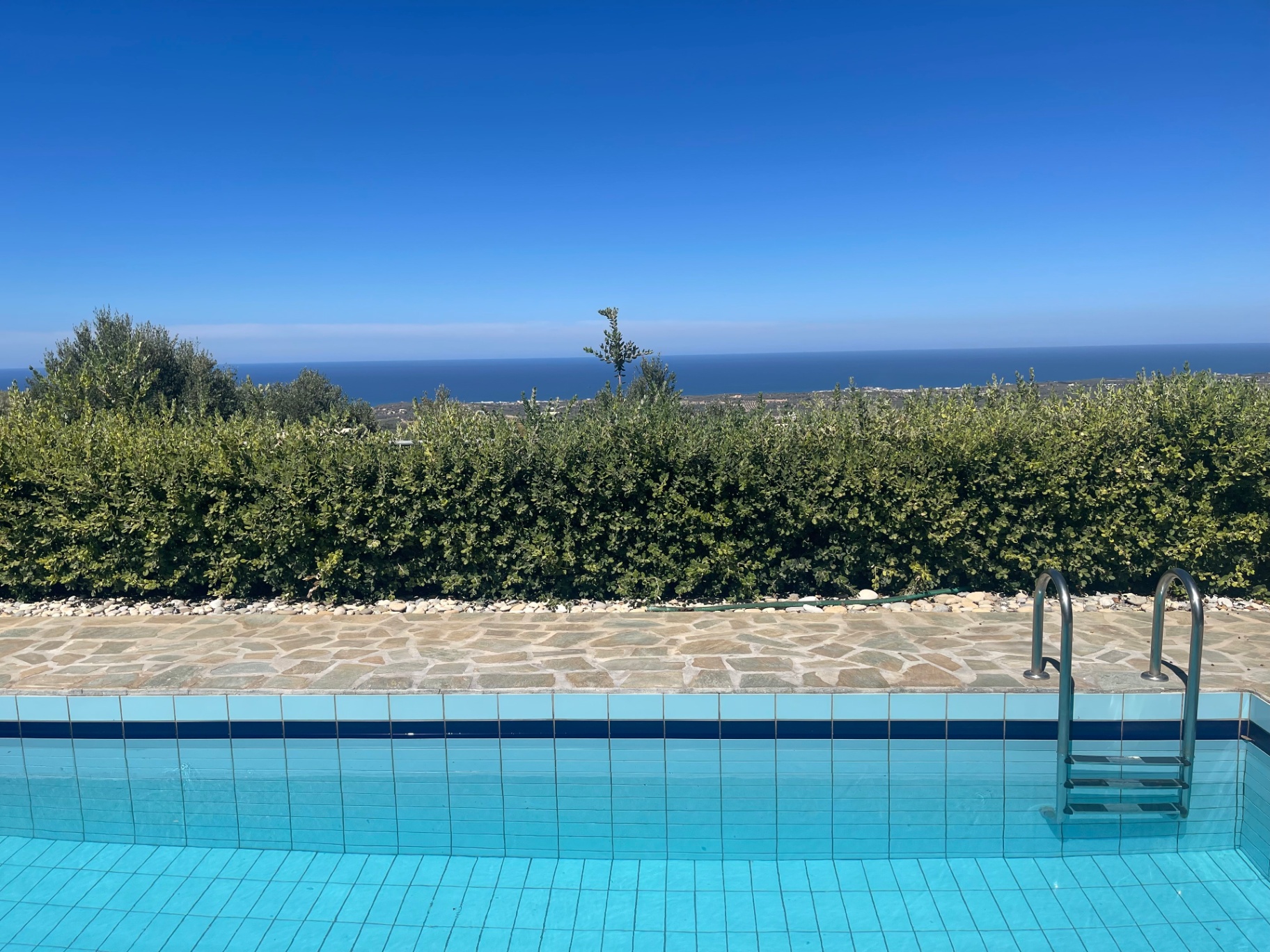 Pool with tall hedge and horizon