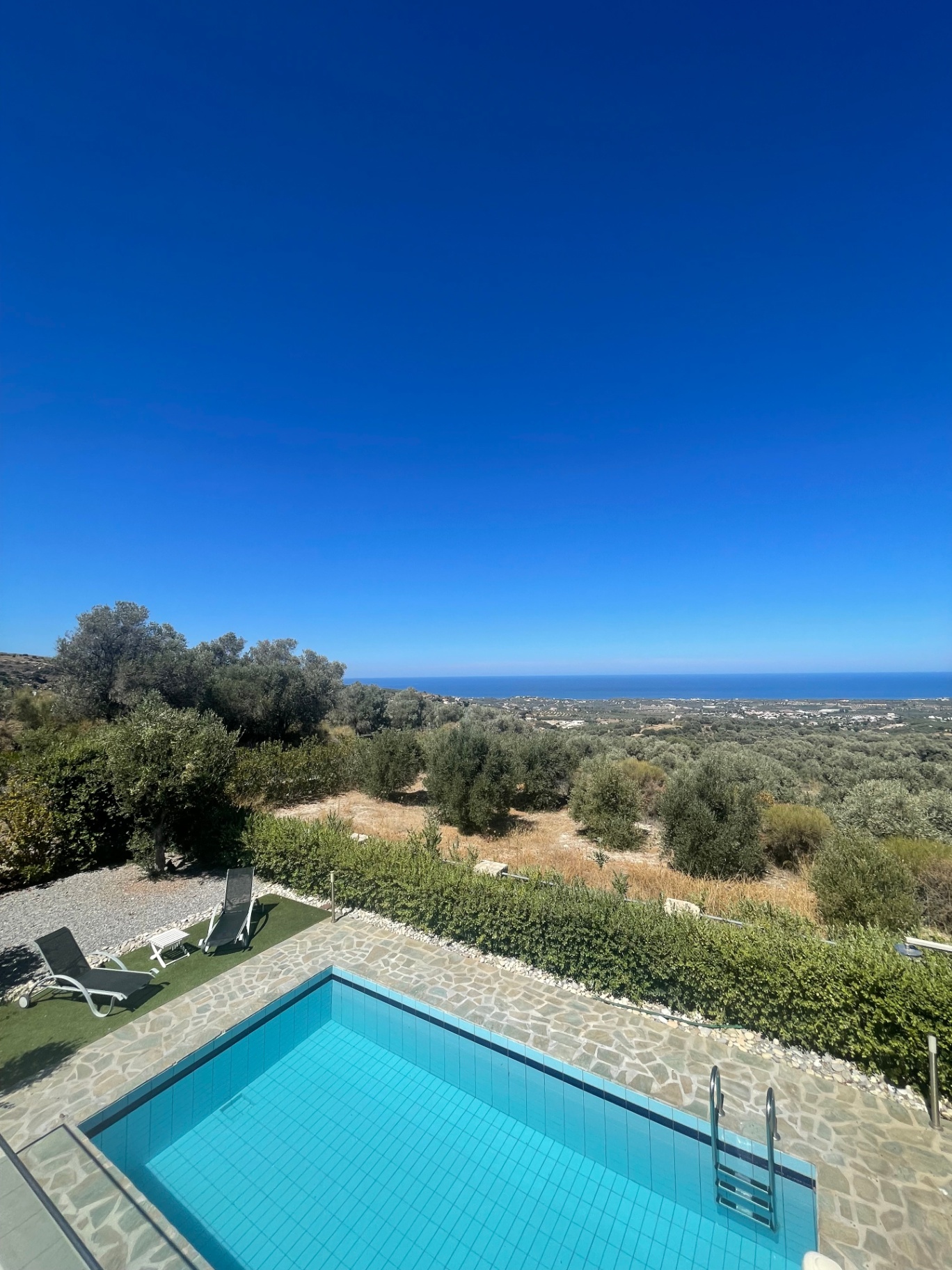 Pool with olive tree and sea horizon